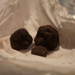 Truffes noires d'Ombrie